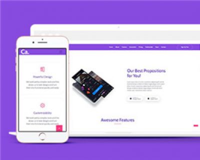 紫色APP项目展示网页